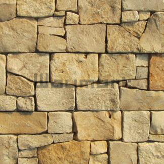 Roma Yellow T Limestone